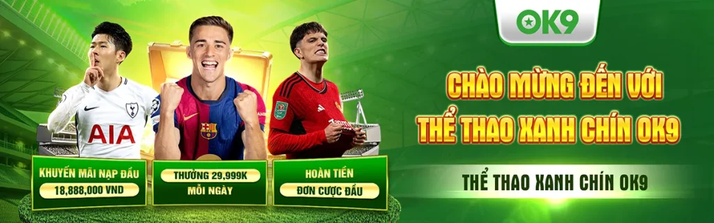 Banner ok9 viet