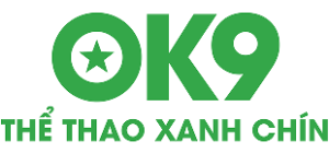 logo ok9